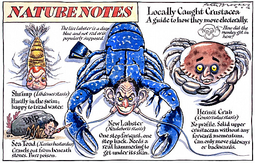 Locally Caught Crustacea
a Guide to How They Move Electorally