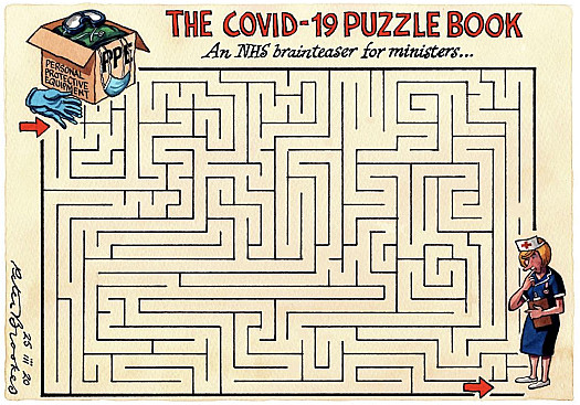 The Covid-19 Puzzle Book