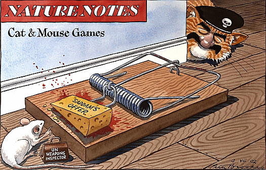 Nature Notes
Cat &amp; Mouse Games