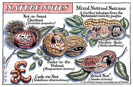 Mixed Nuts and Nutcases