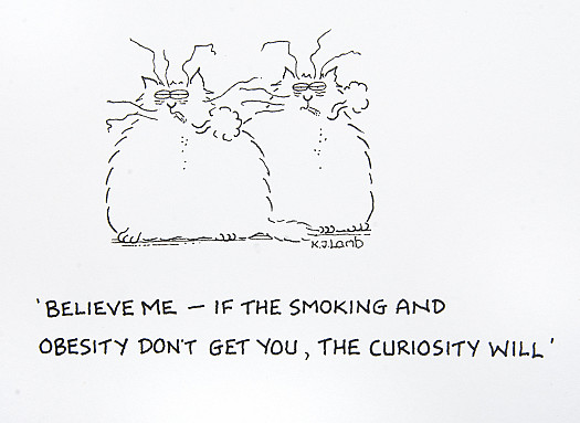 Believe me - if the smoking and obesity don't get you, the curiosity will