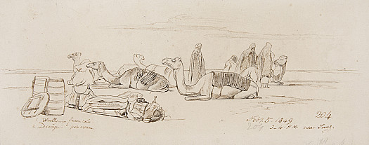 Camels Resting near Suez