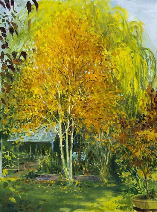 Birch Tree &ndash; Autumn
