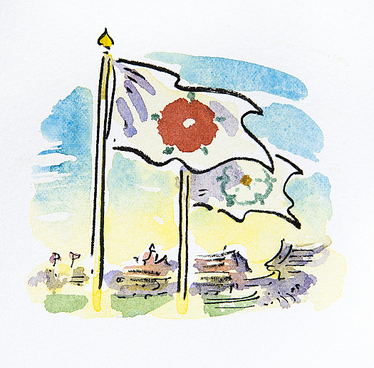 Roses Flags
