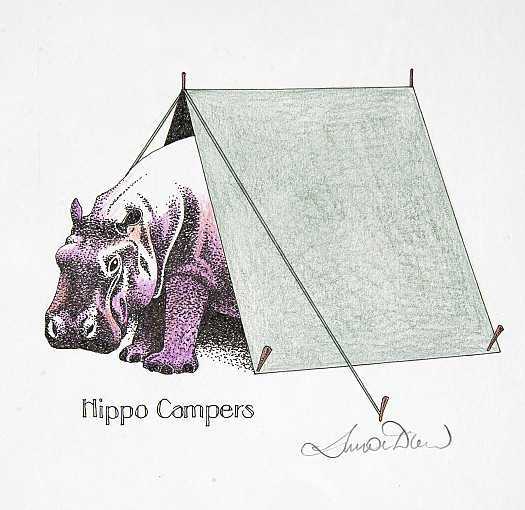 Hippo Campers