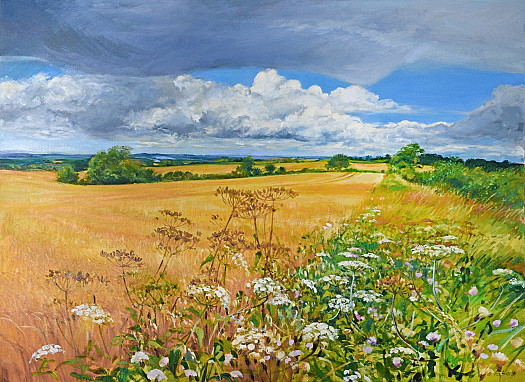 Storm Clouds over Ripening Fields, Near Mickleton