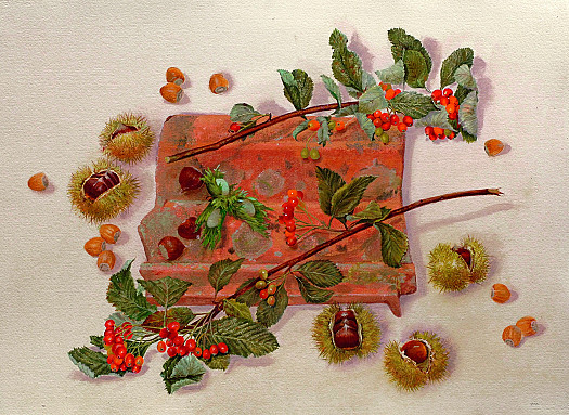 Hazelnuts, Chestnuts and Berries