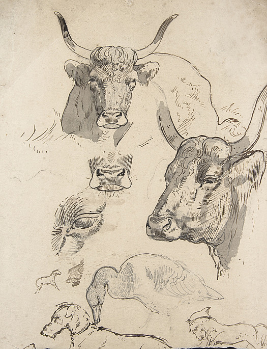 Studies of a Bull, with Studies of a Goose, Dog and Horse