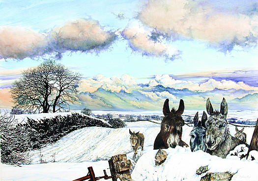 Donkeys In Snow Covered Fields, Early Evening