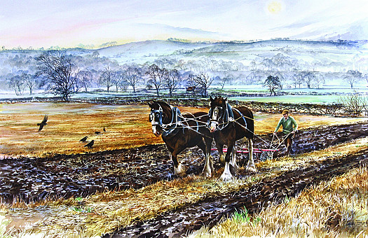 Ploughing On a Misty Afternoon