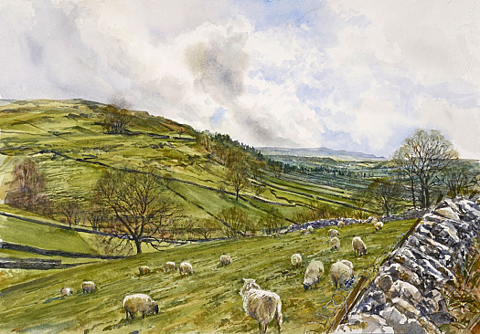 Sheep on Moorland