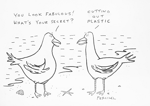 'You look fabulous! What's your secret?''Cutting out plastic'