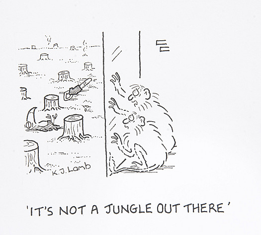 It's not a jungle out there