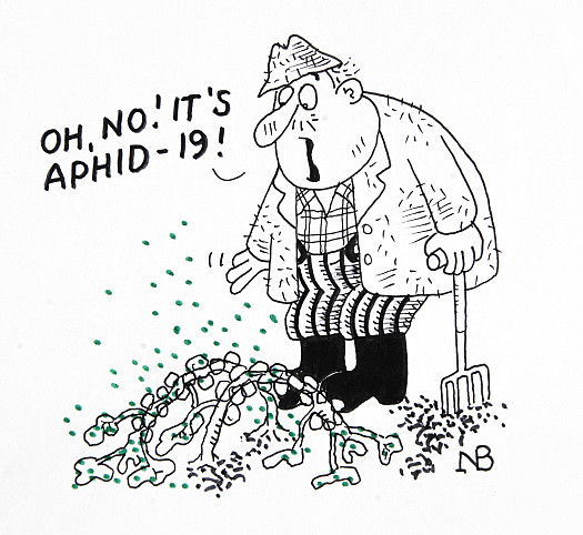 Oh, no! It's Aphid-19!