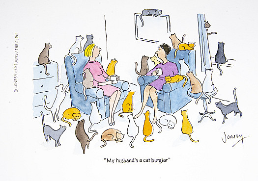 My husband's a cat burglar