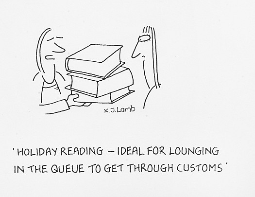 Holiday reading - ideal for lounging in the queue to get through customs