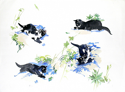 Four Studies of a Black Cat