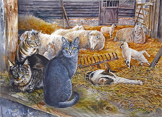 Cats and Sheep