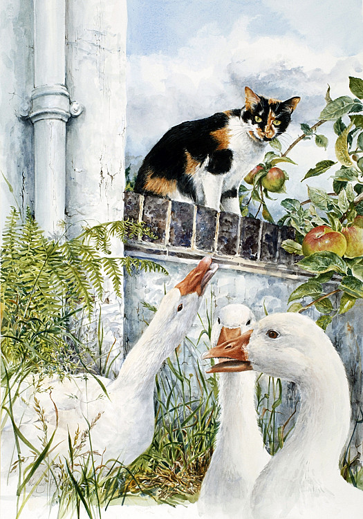 Cat and Geese