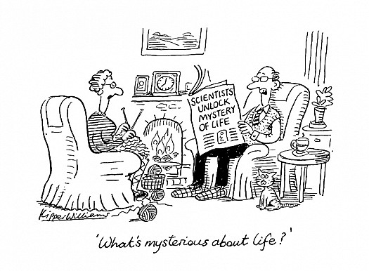 'What's Mysterious About Life?'