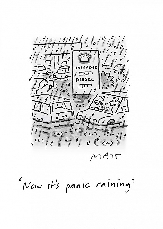 Now it's panic raining