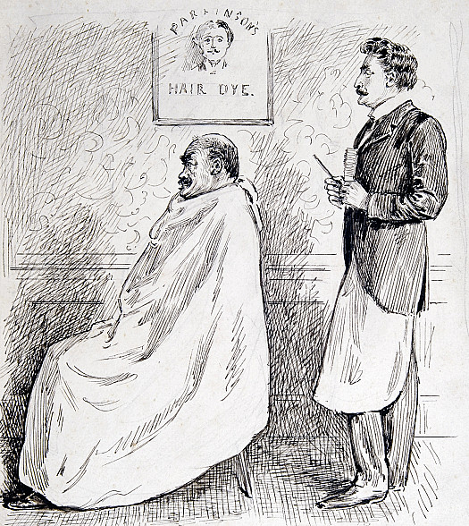Obvious!'Want anything on it, Sir?''Yes &ndash; confound you! More hair!'