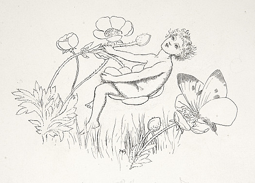 In the buttercup sat laughing and singing ... its own little fairy