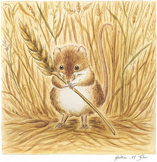 Clutching a stalk of wheat