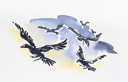 Flying Crows