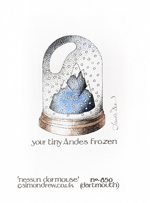 Your Tiny Andes Frozen