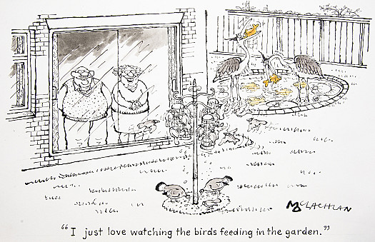 I just love watching the birds feeding in the garden