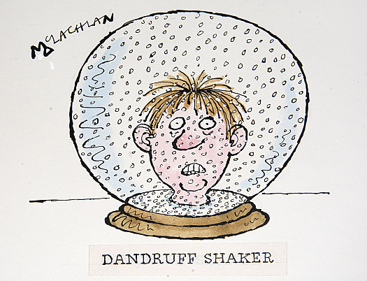 Dandruff Shaker