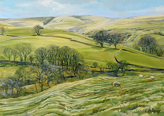 Early Spring above Kettlewell