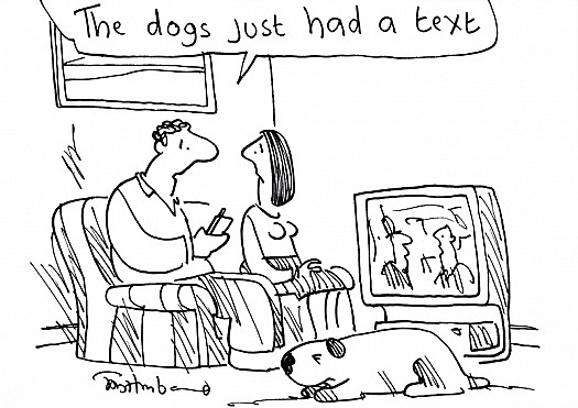 The Dogs just Had a Text