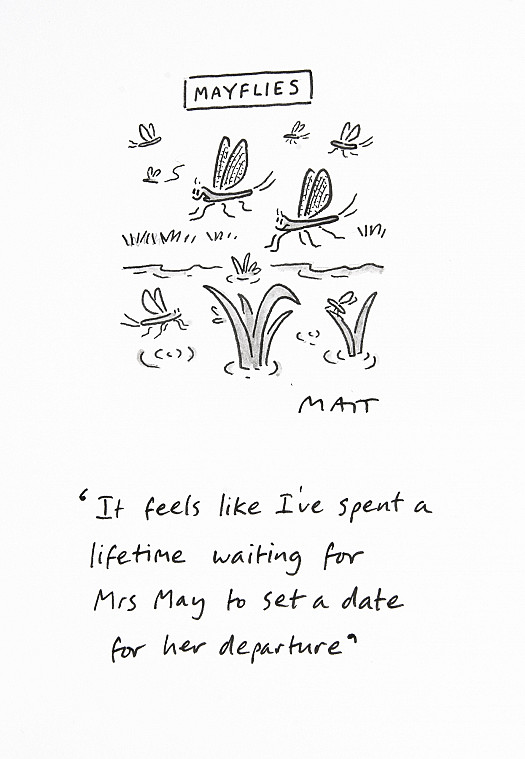 It feels like I've spent a lifetime waiting for Mrs May to set a date for her departure