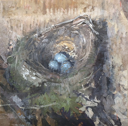 Blackbird nest with eggs