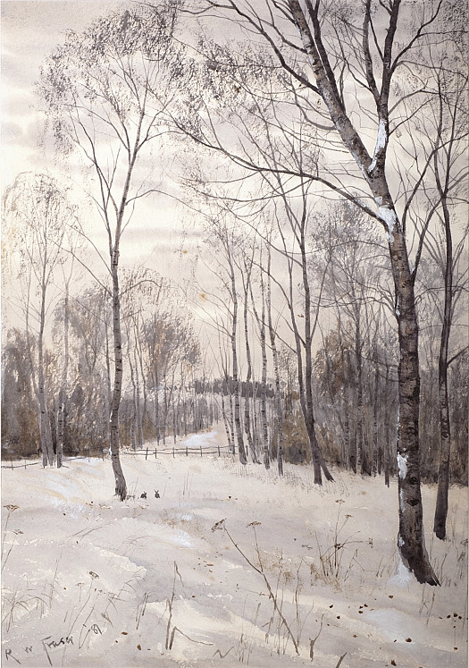 The Winter Woodland