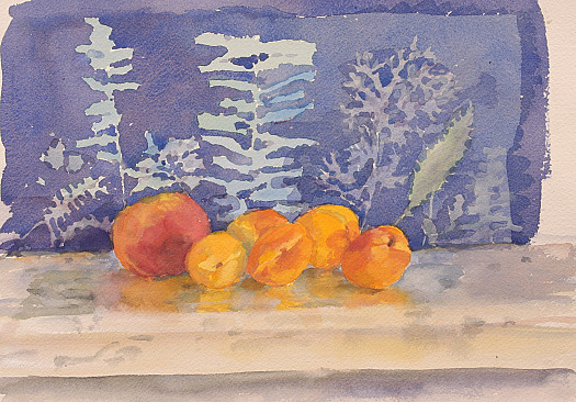 Winter Apricots