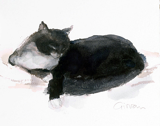 Sketchbook Cats - Daisy On a Cushion