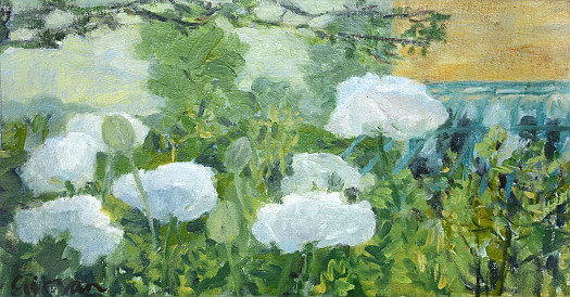 Bed of White Poppies
