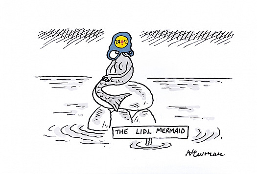 The Lidl Mermaid
