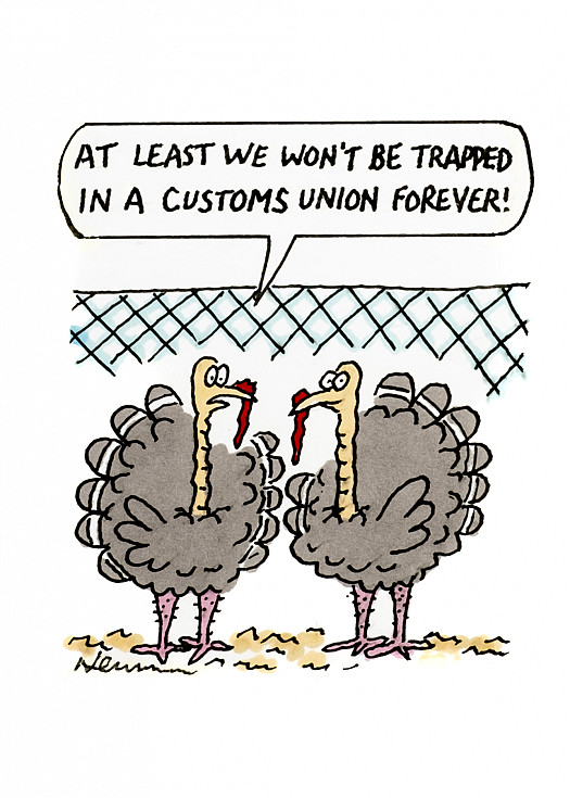 At least we won't be trapped in a customs union forever!