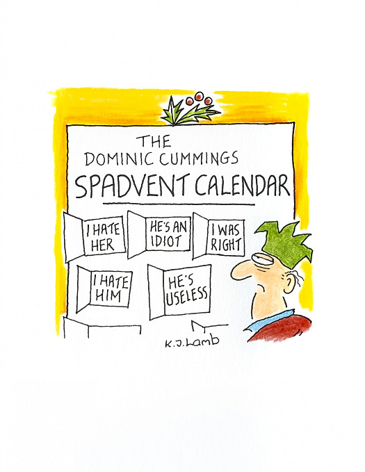The Dominic CummingsSpadvent Calendar