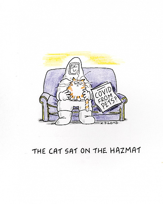 The Cat Sat on the Hazmat