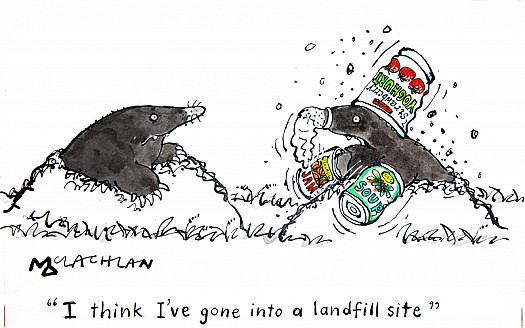 'I Think I've Gone Into a Landfill Site'