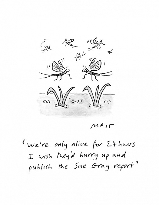We're only alive for 24 hours. I wish they'd hurry up and publish the Sue Gray report