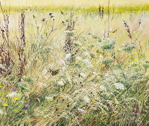 Wild Carrot and Grasses