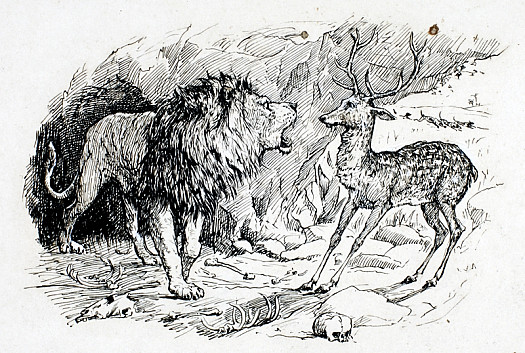The Deer and the Lion