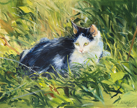 Cat in Sunny Field