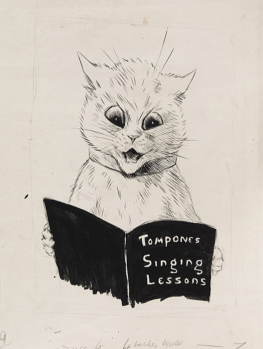 Tompones Singing Lessons
You Can't Get Much Satisfaction Out of a Singing Lesson 
Except Your Next Door Neighbour's Irritation